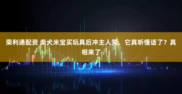 荣利通配资 柴犬米宝买玩具后冲主人笑，它真听懂话了？真相来了