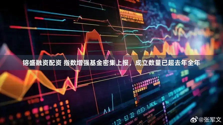 镕盛融资配资 指数增强基金密集上报，成立数量已超去年全年