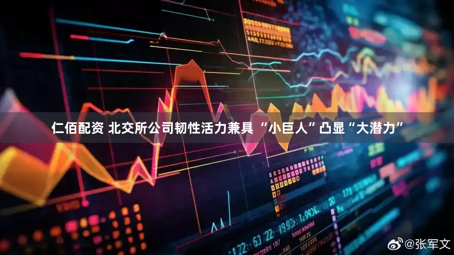 仁佰配资 北交所公司韧性活力兼具 “小巨人”凸显“大潜力”